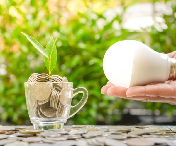 80649871 - woman hand is holding led bulb with growing plant in the glass and sun light - concept of saving energy1